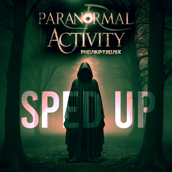 26-11-2024-13-45-39-e49f3f8778e871b2dba24c7cd70c6d1e